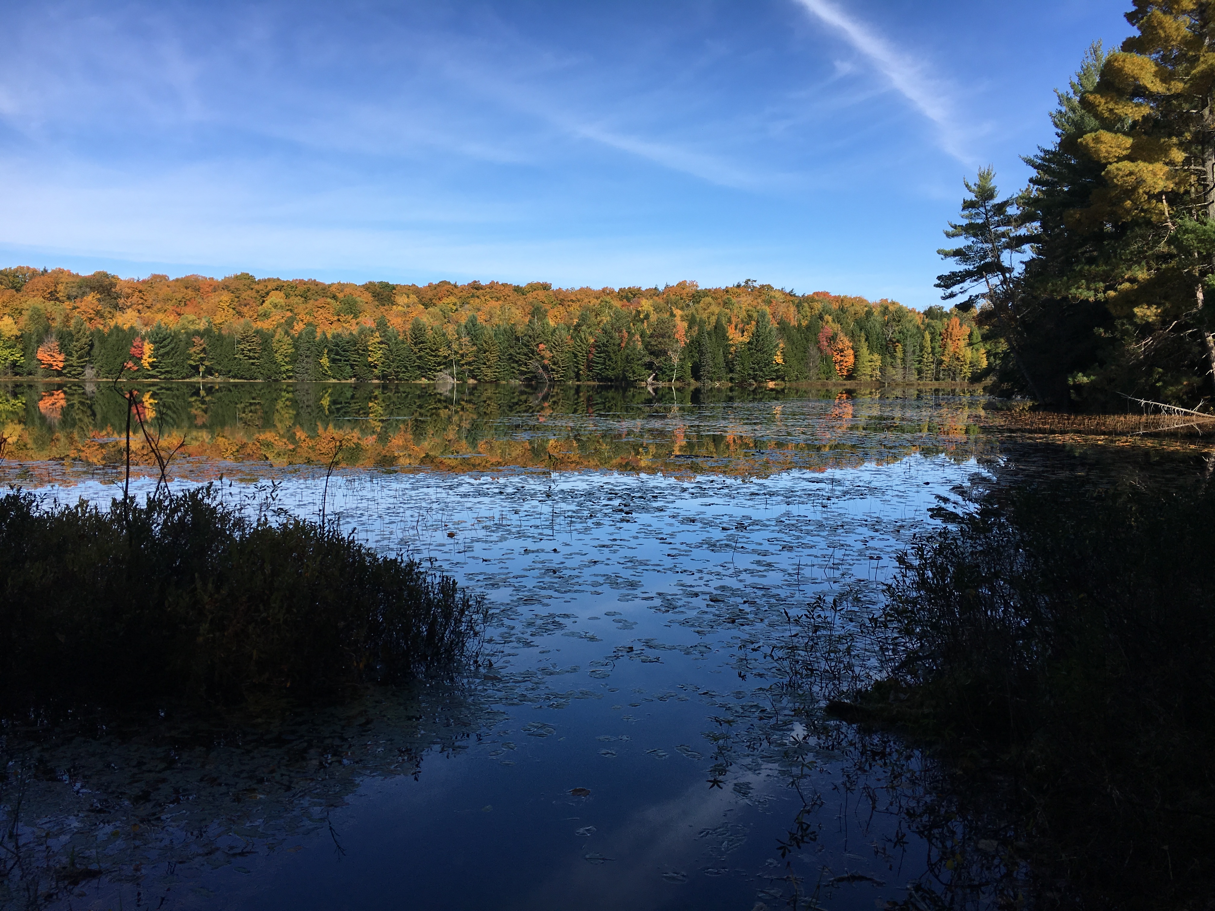Hike or Bike the NHAL Raven Trails