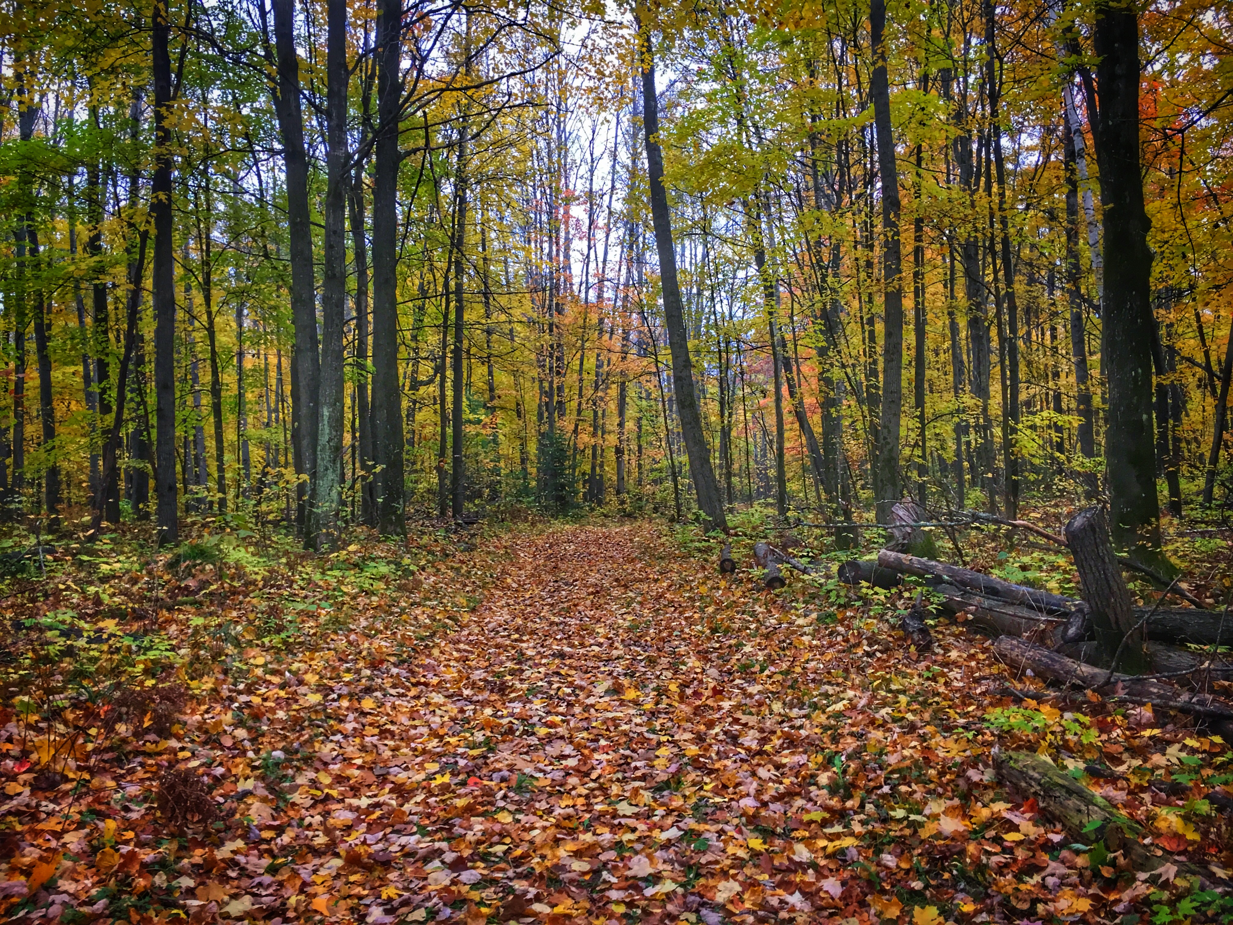 Hike or Bike the NHAL Raven Trails