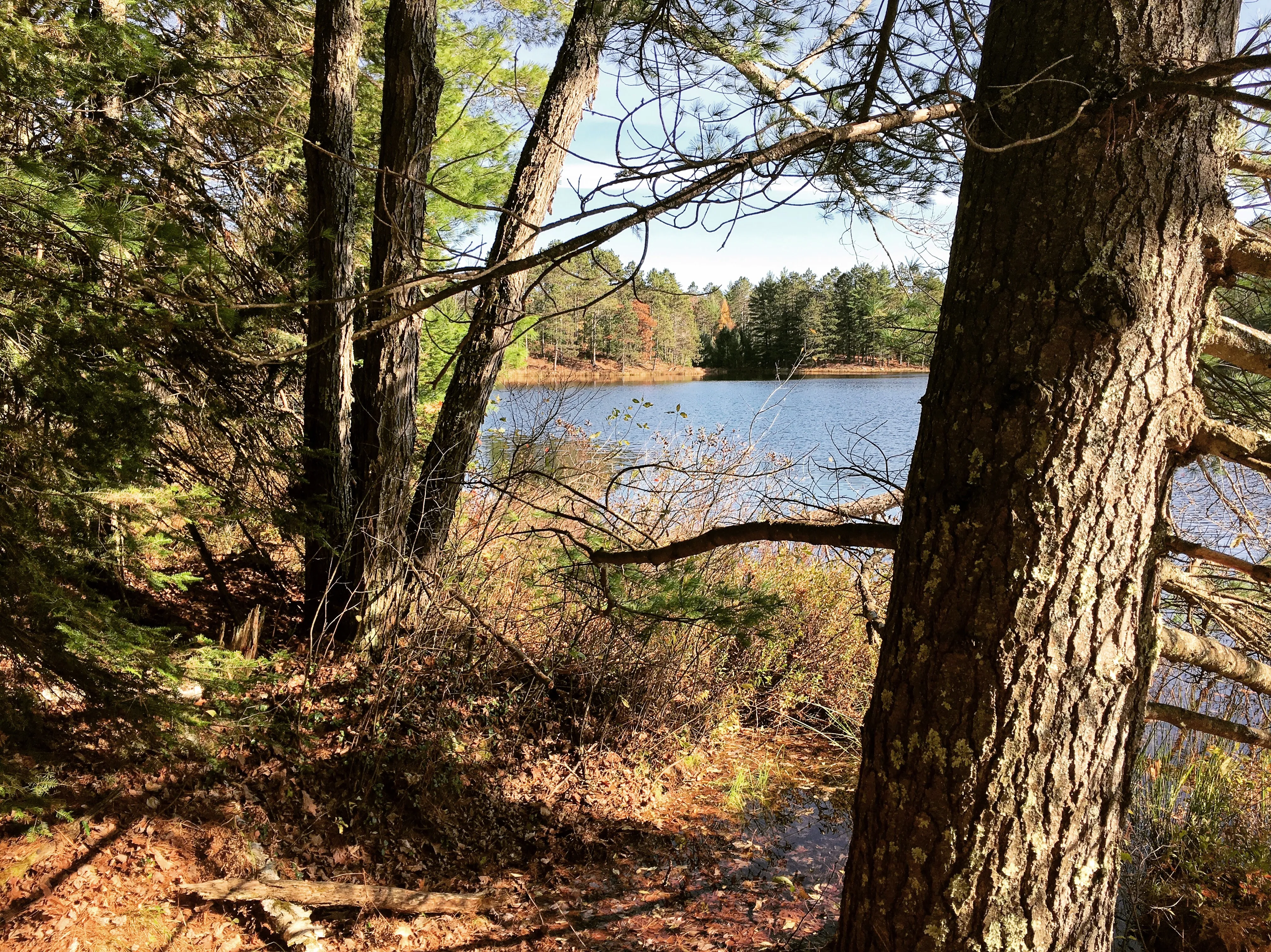 Hike the Fallison Lake Nature Trail