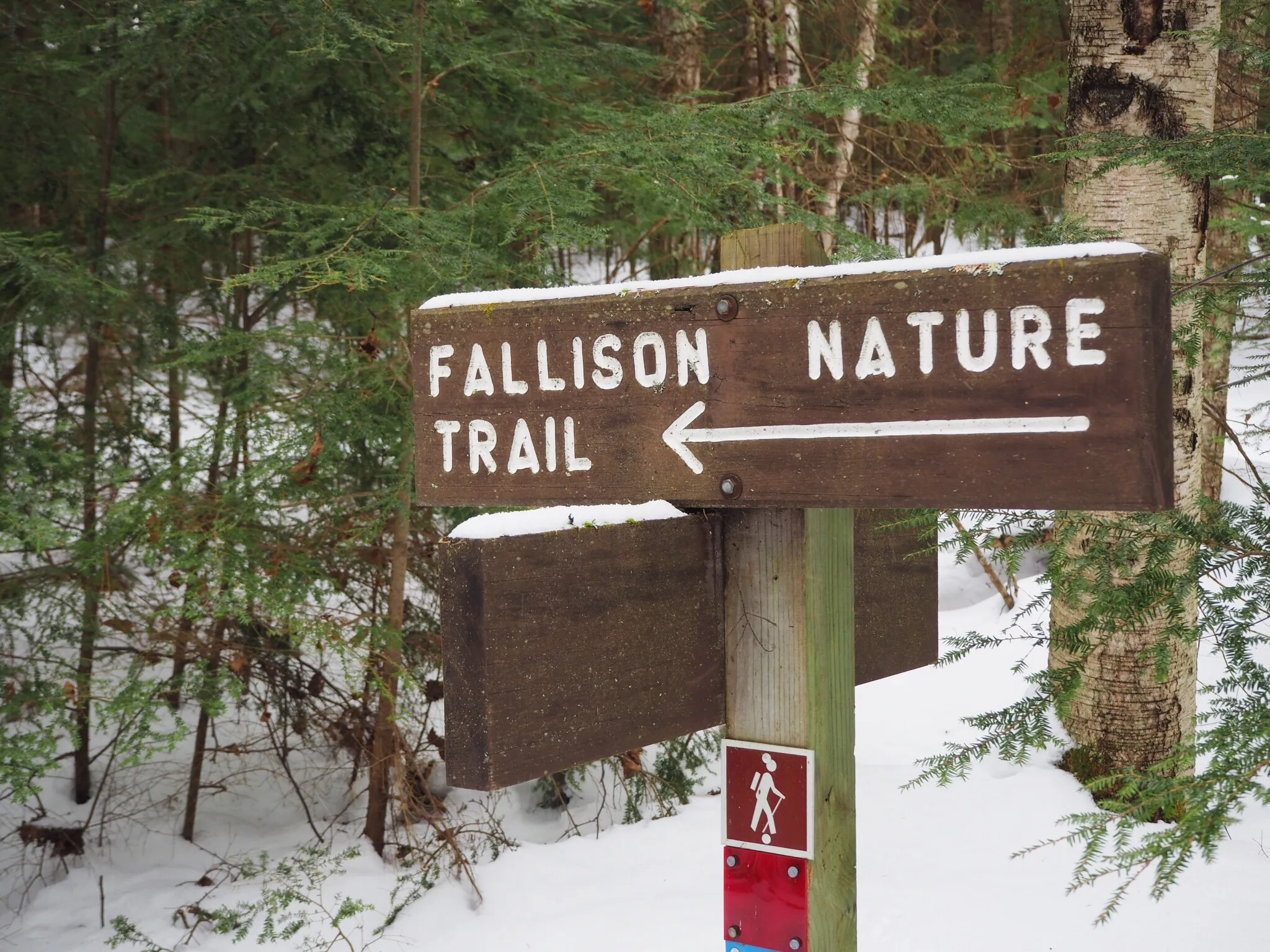 Hike the Fallison Lake Nature Trail