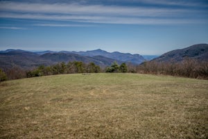 Hike the Trombatore Trail to Blue Ridge Pastures