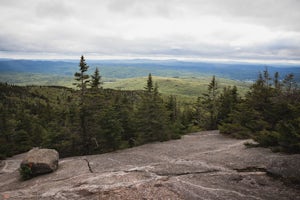 Hike Cardigan Mountain via the West Ridge Trail