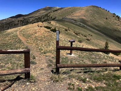 Hike Mount Ellen in Utah's Henry Mountains, Mount Ellen Peak Trail