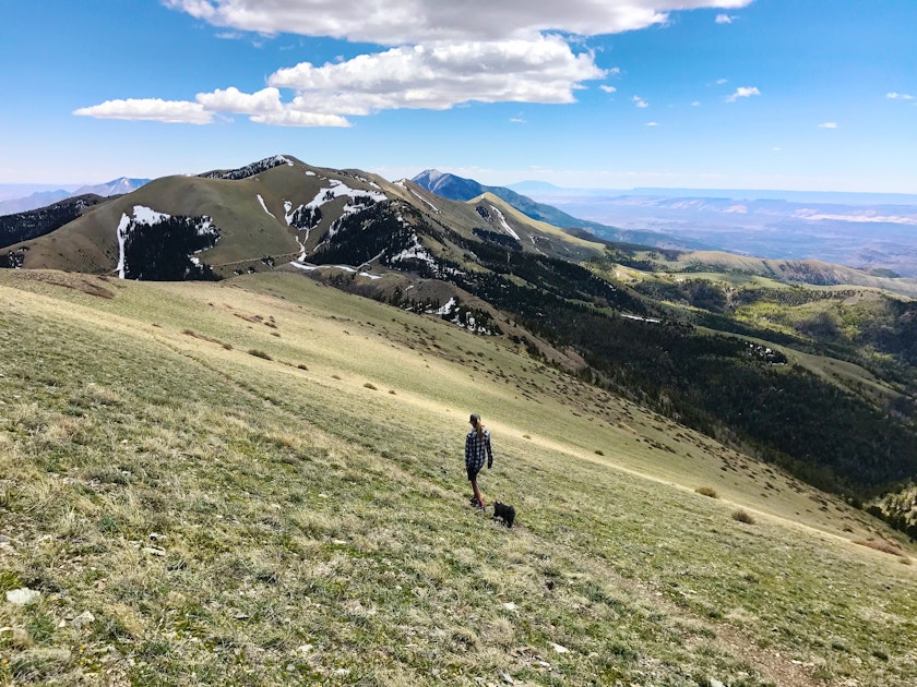 Hike Mount Ellen in Utah's Henry Mountains, Mount Ellen Peak Trail
