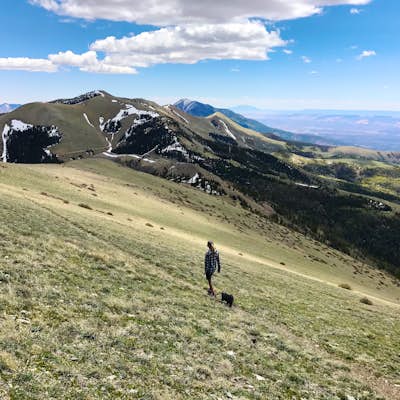 Hike Mount Ellen in Utah's Henry Mountains