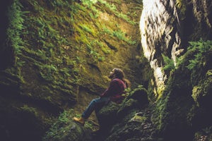 Green Infusion at Singhampton Caves in Ontario