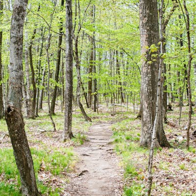 Hike the Bluffs on Eagle Trail in Door County's Peninsula State Park