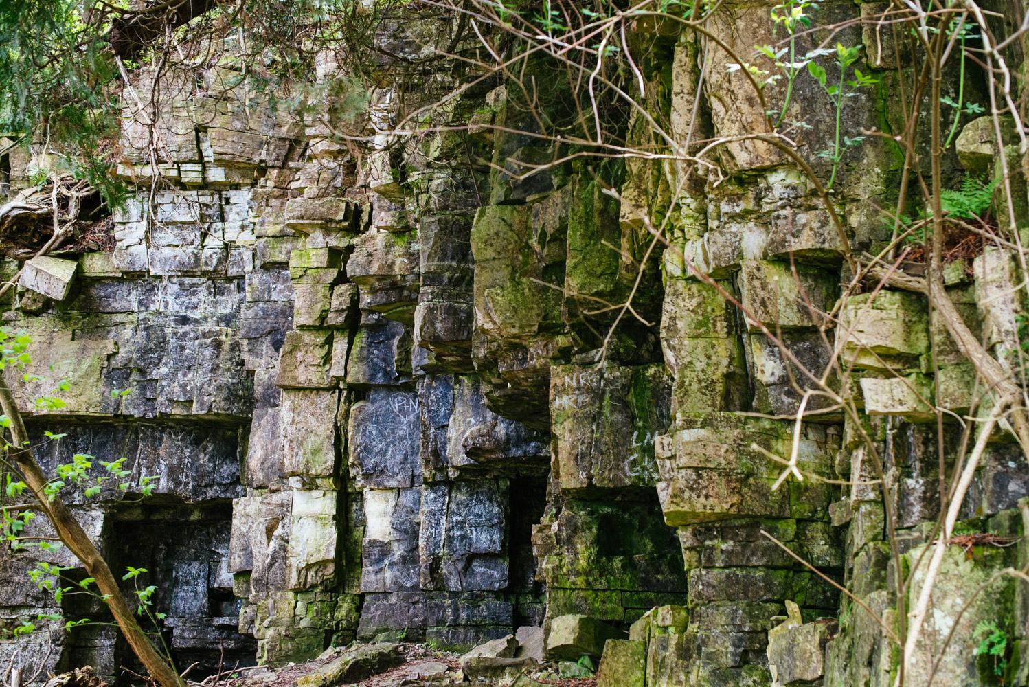 Hike the Bluffs on Eagle Trail in Door County's Peninsula State Park