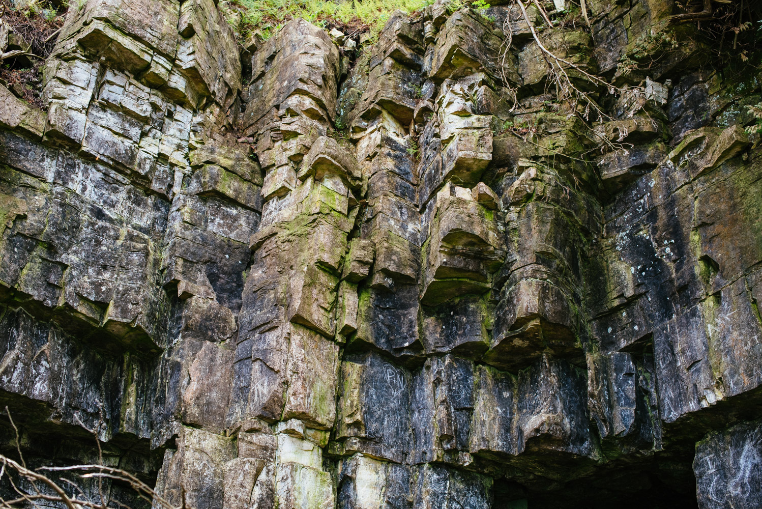 Hike the Bluffs on Eagle Trail in Door County's Peninsula State Park