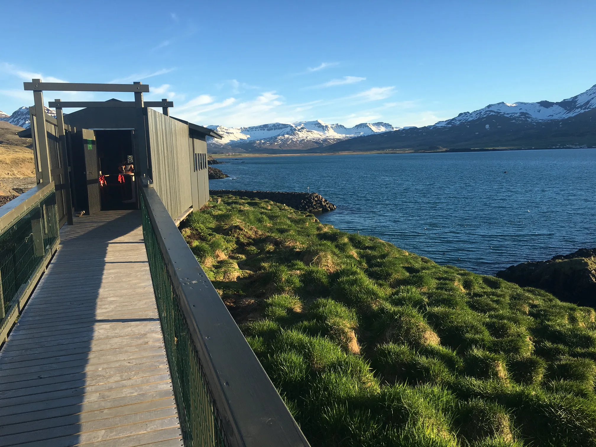 Visit the Puffins of Hafnarholmi