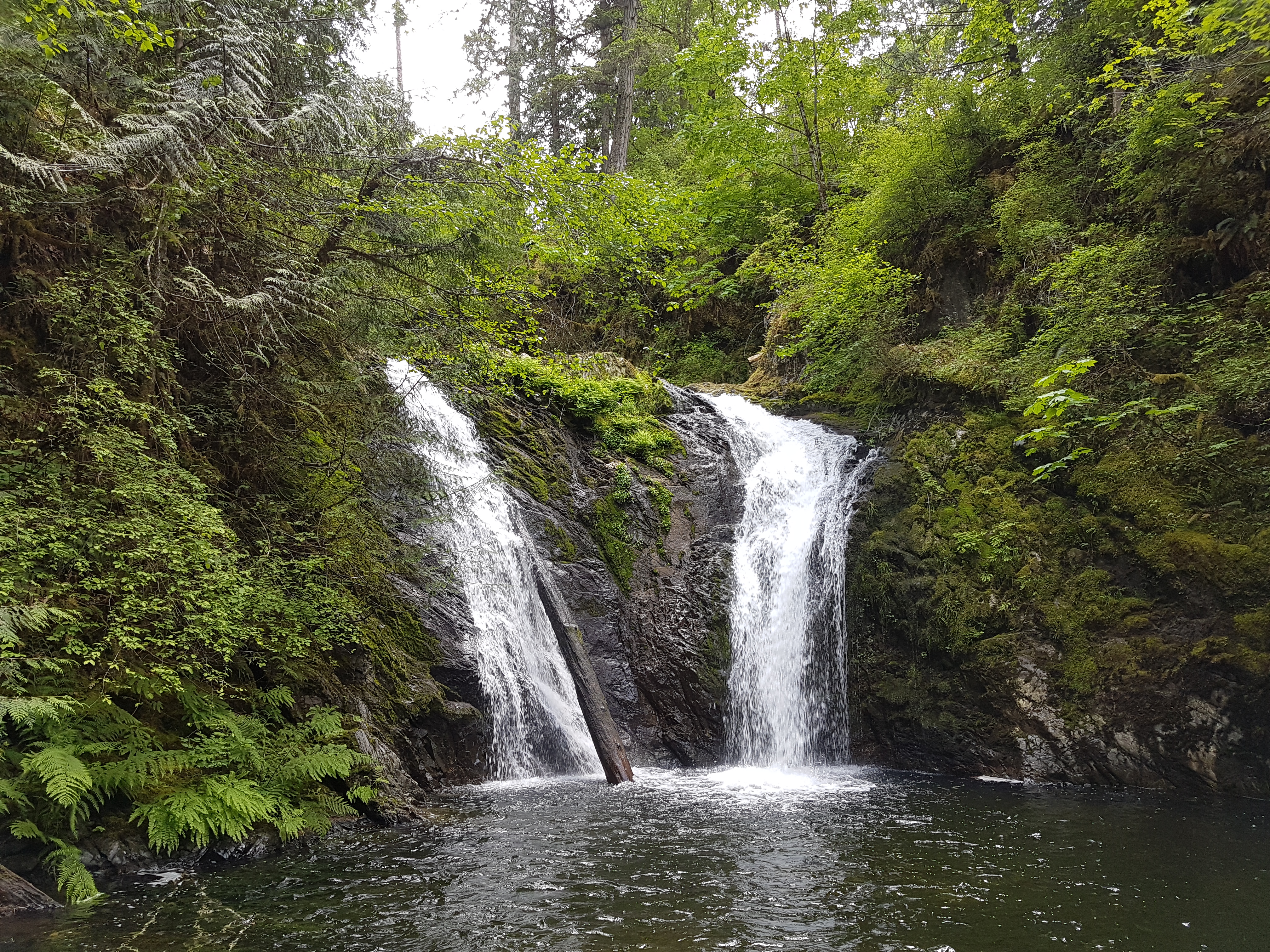 Hike to Bonnell Creek Falls