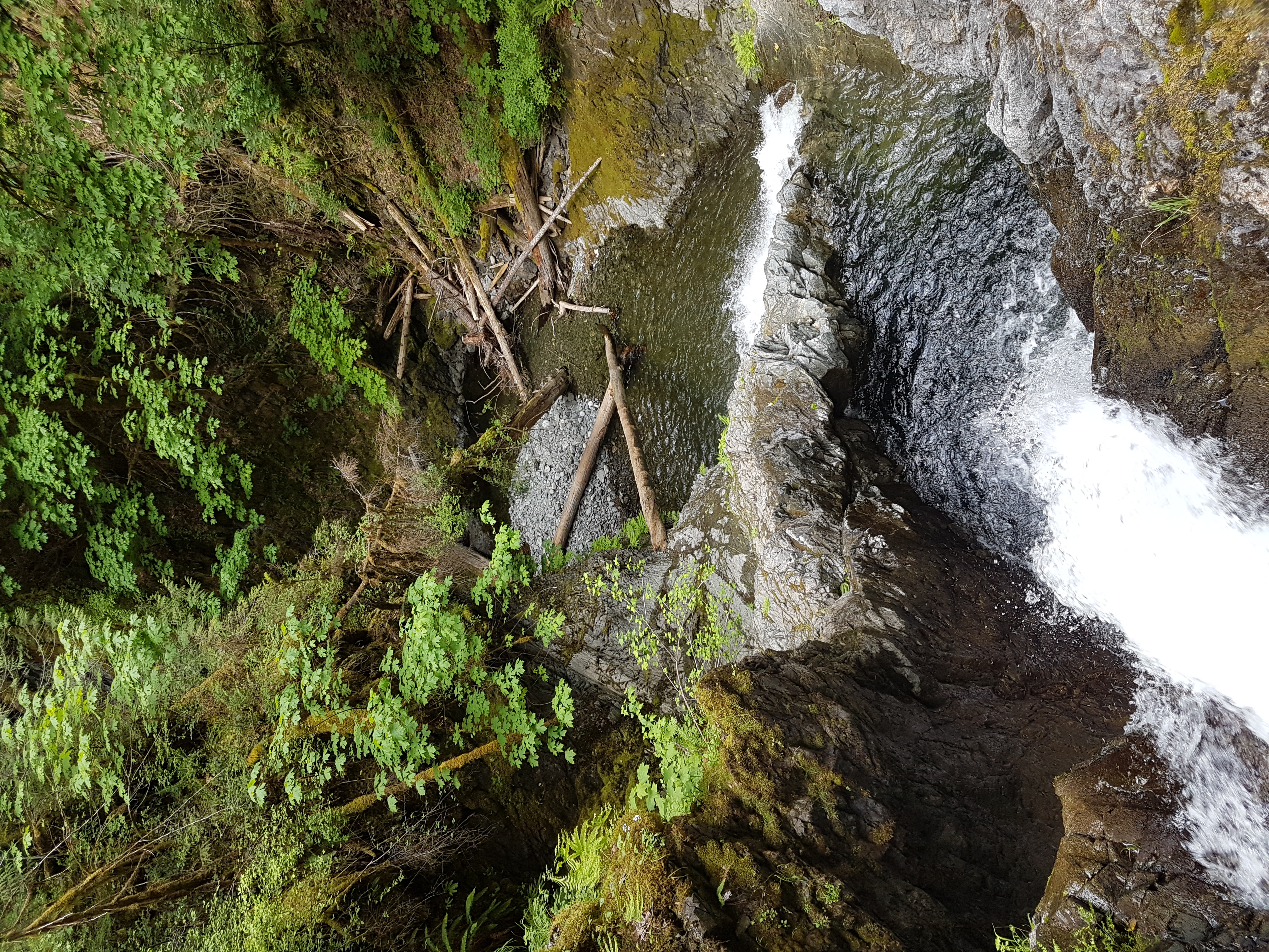 Hike to Bonnell Creek Falls