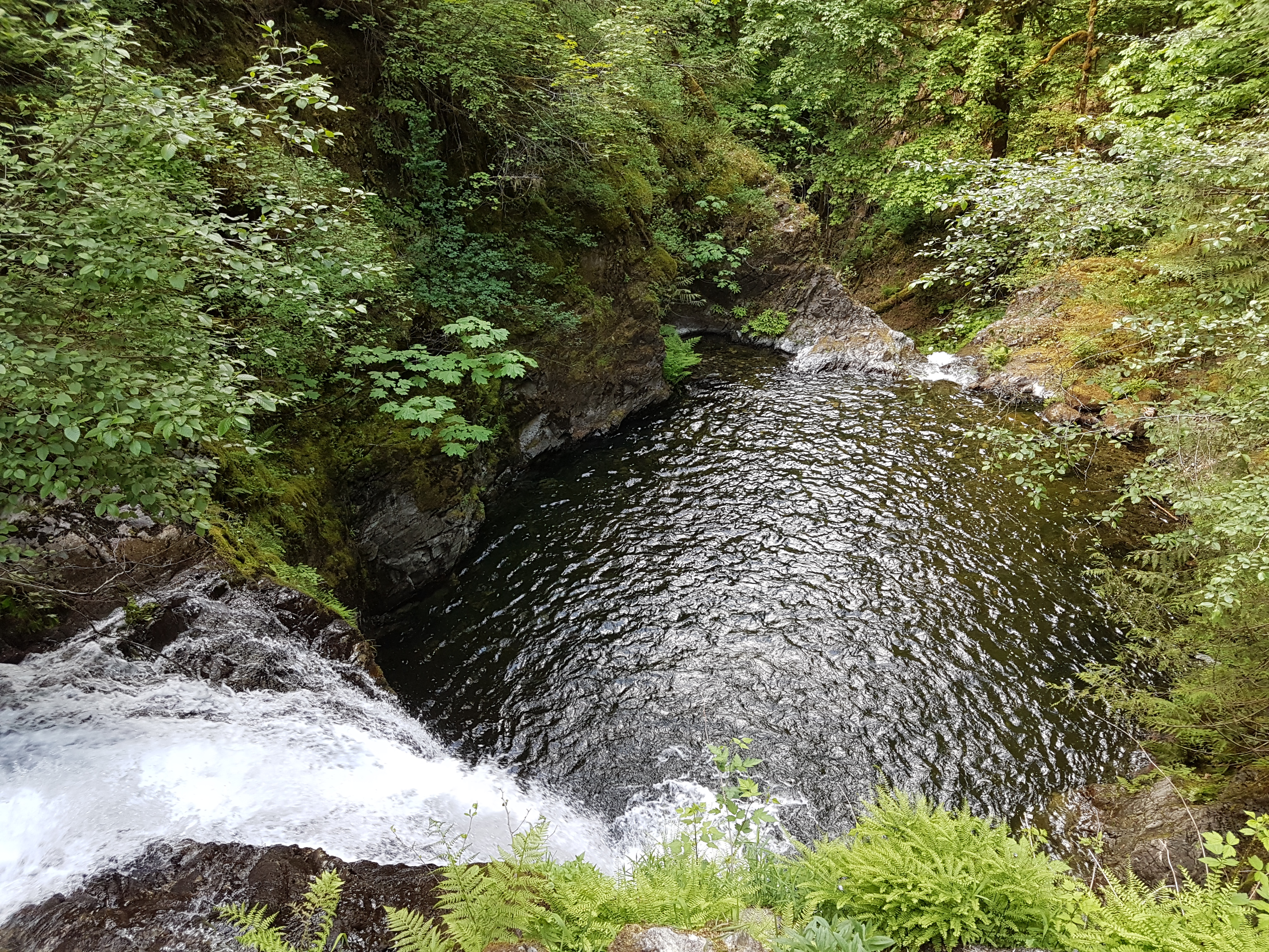 Hike to Bonnell Creek Falls
