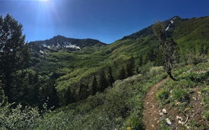 Hike or Trail Run Butler Fork