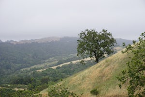 Hike to Black Mountain and Stevens Creek Canyon