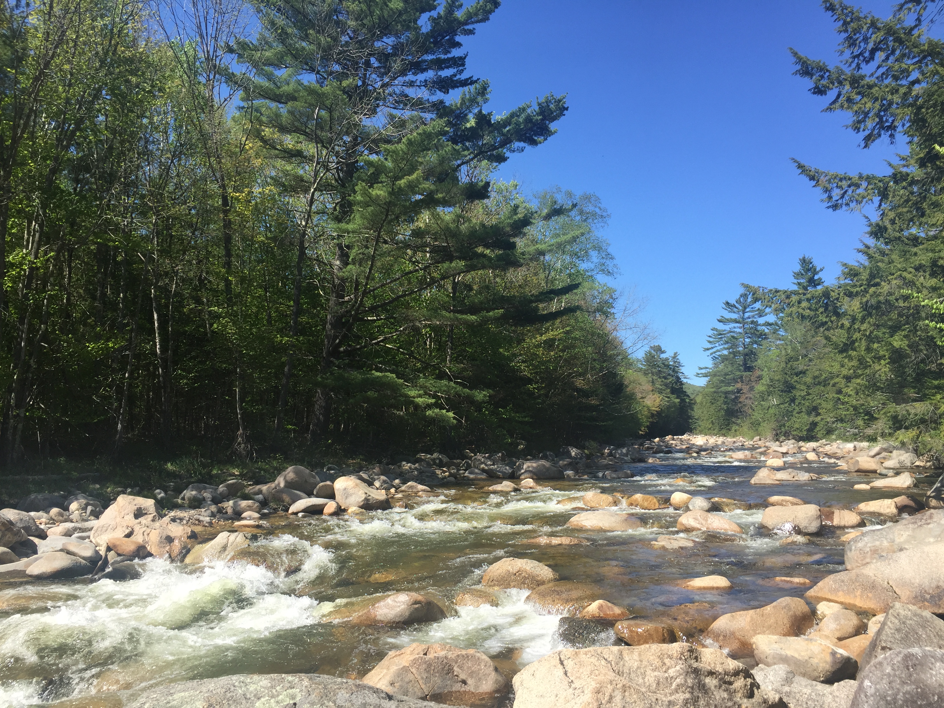 Hike the Welch Mountain and Dickey Mountain Loop, Thornton, New Hampshire