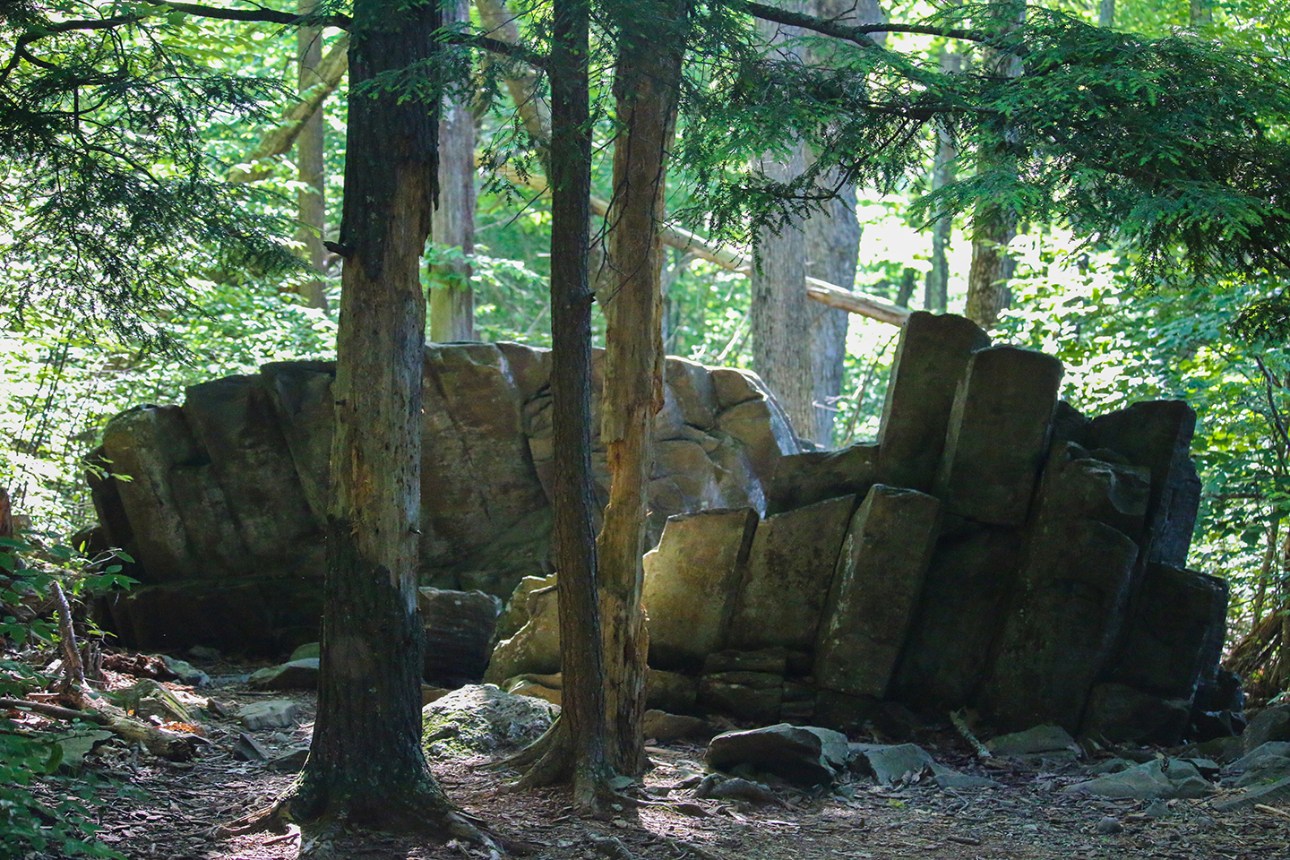 Hike Limberlost Trail in Shenandoah National Park