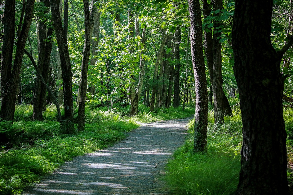 Limberlost Trail