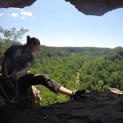 Rock Climb Foxfire at the Red River Gorge