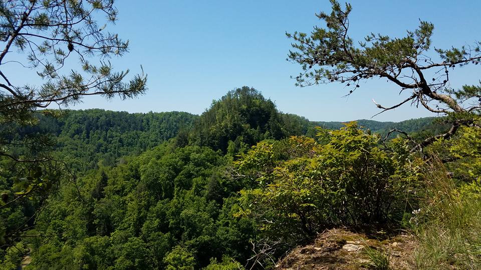 Rock Climb Foxfire at the Red River Gorge