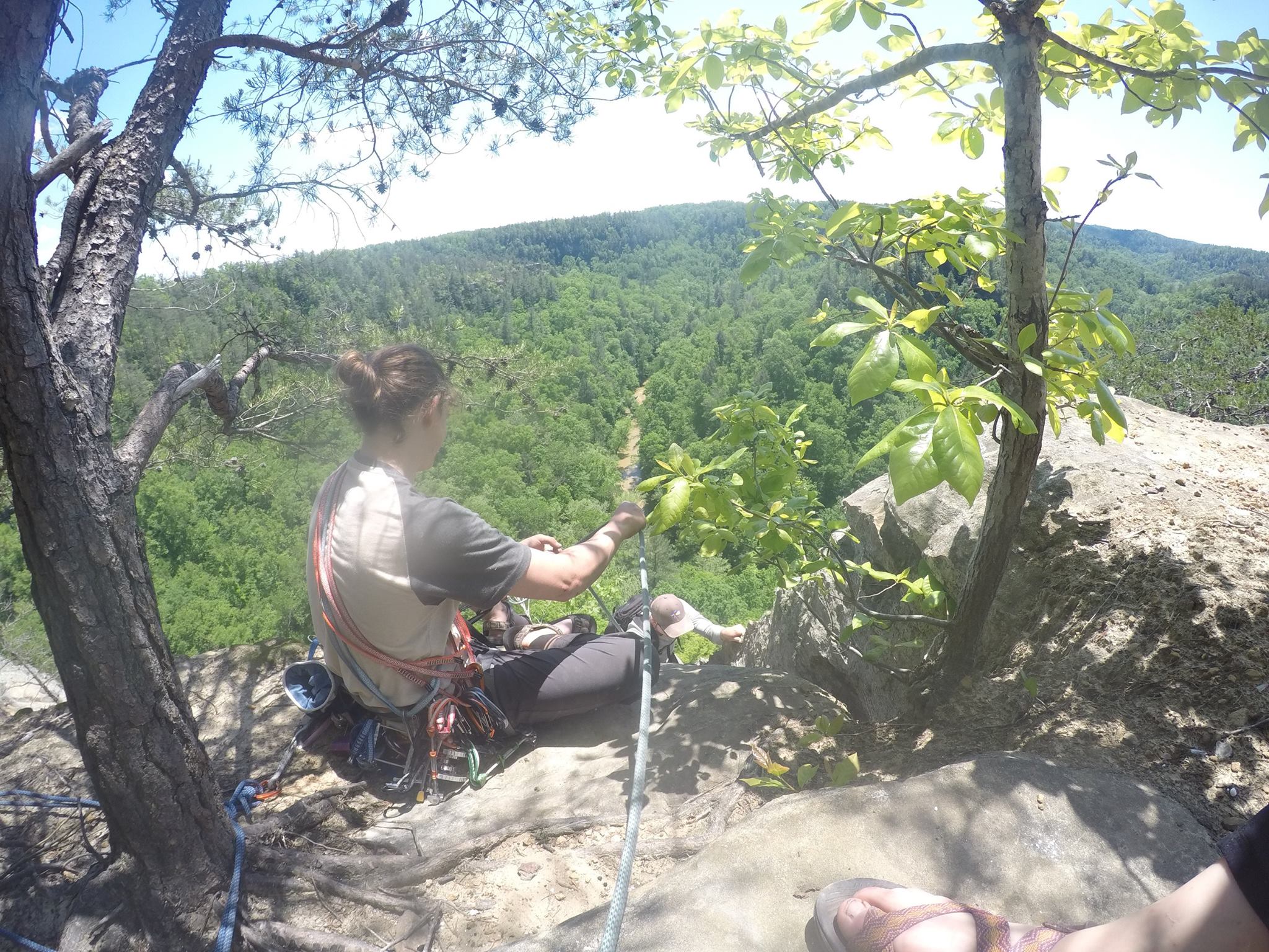 Rock Climb Foxfire at the Red River Gorge