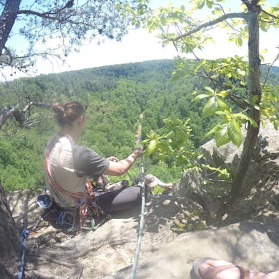 Rock Climb Foxfire at the Red River Gorge