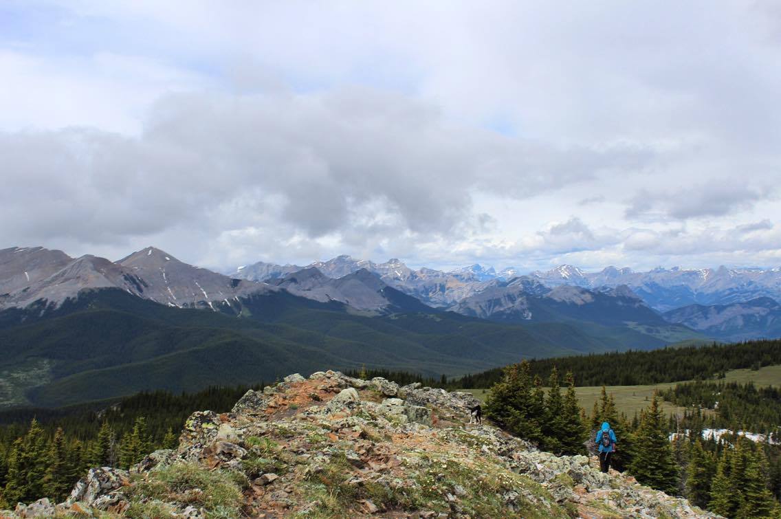 Hike Jumpingpound Summit