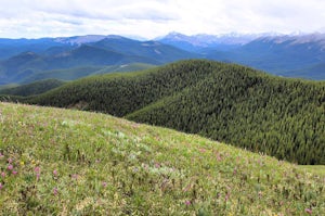 Hike Jumpingpound Summit