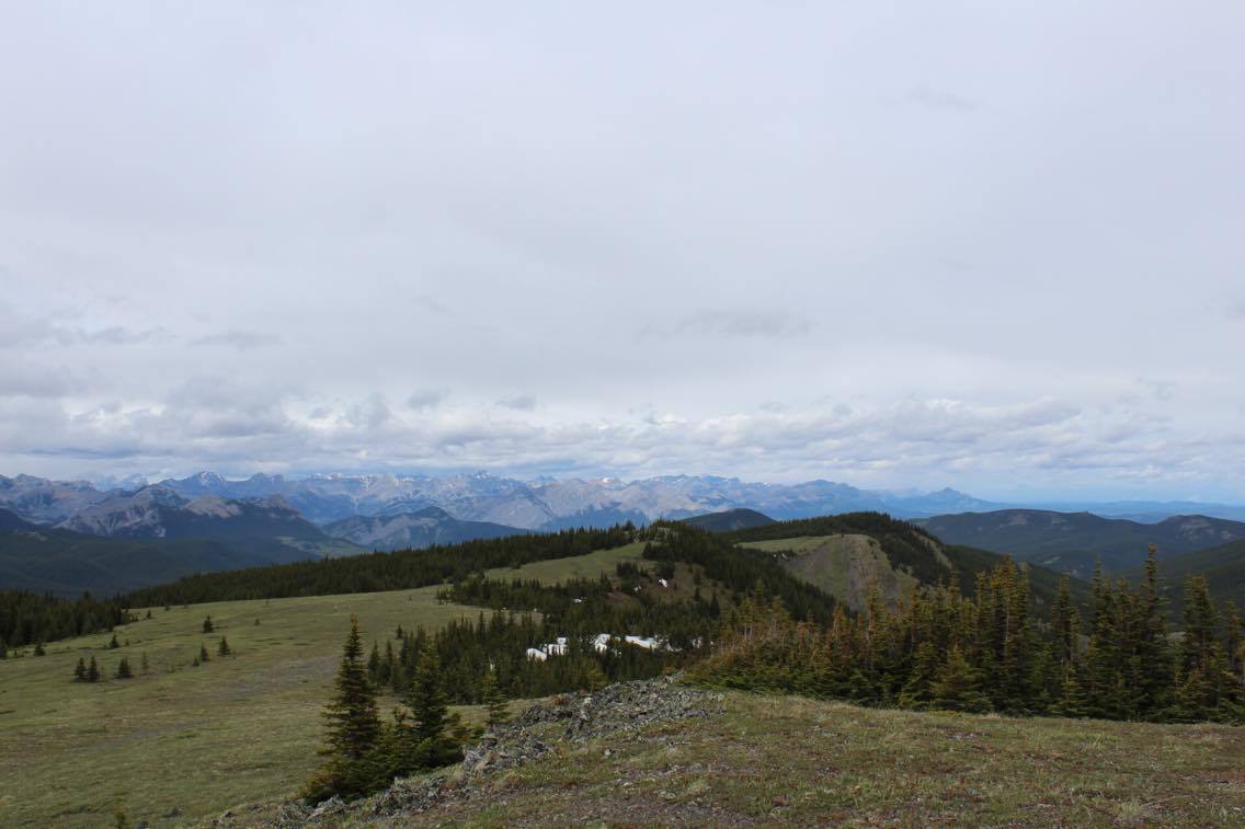 Hike Jumpingpound Summit