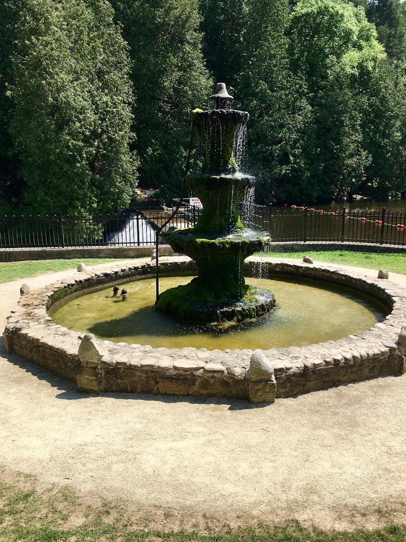 Photo of Belfountain Hikeing trail