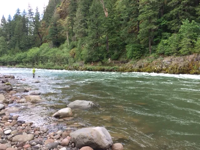 Fly Fish Lewis River