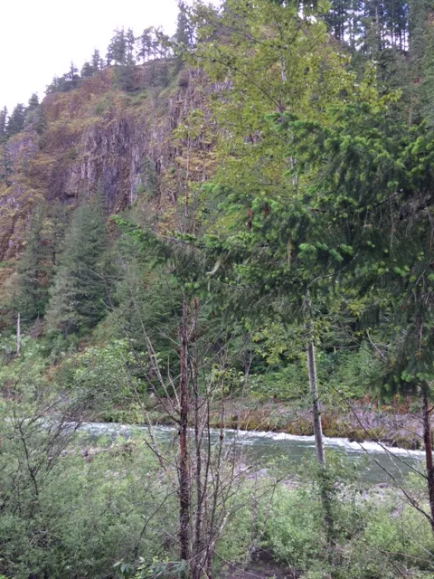 Fly Fish Lewis River