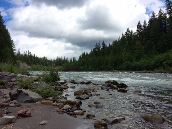 The best Fishing in and near Skamania County, Washington