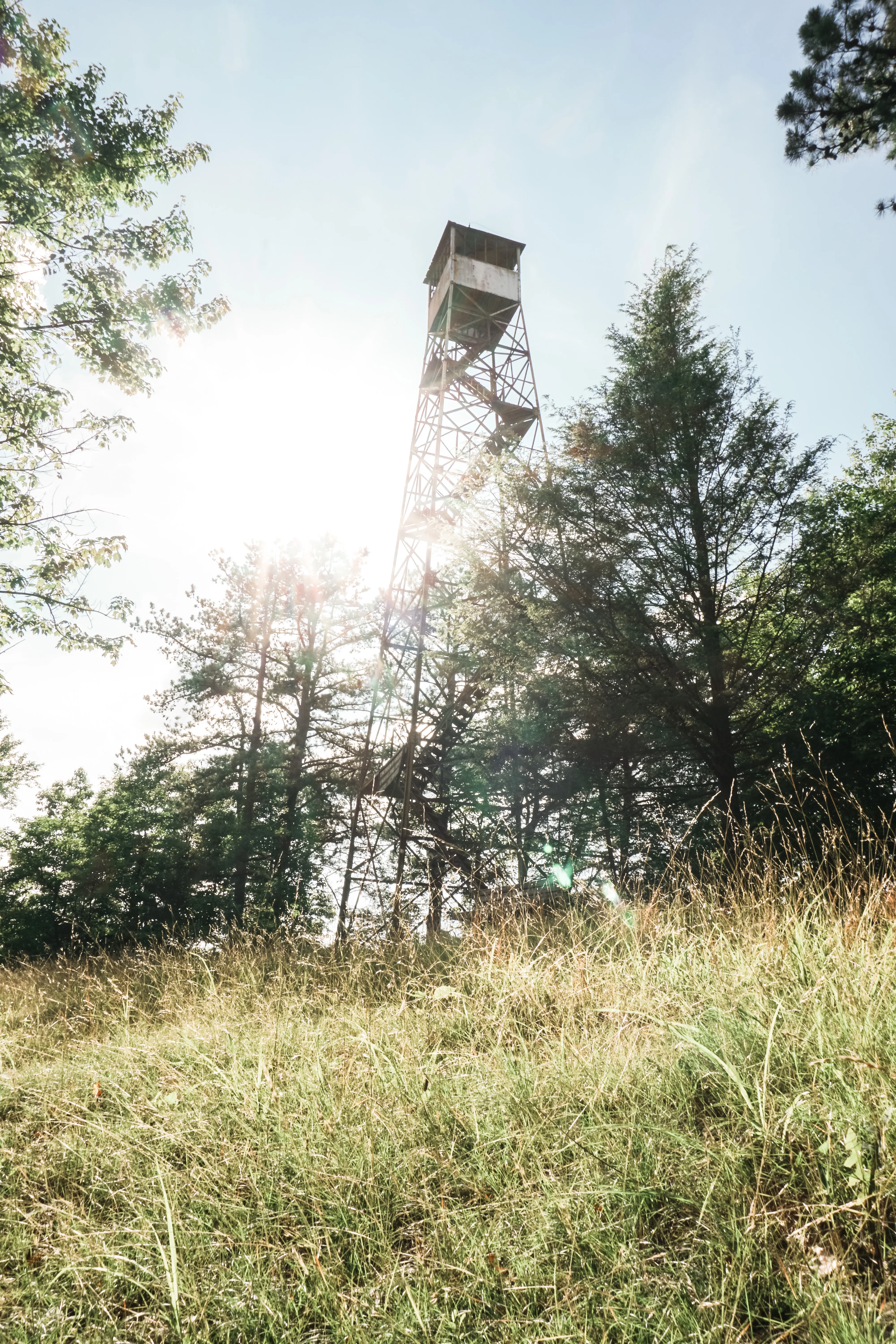 Bay's Mountain Firetower