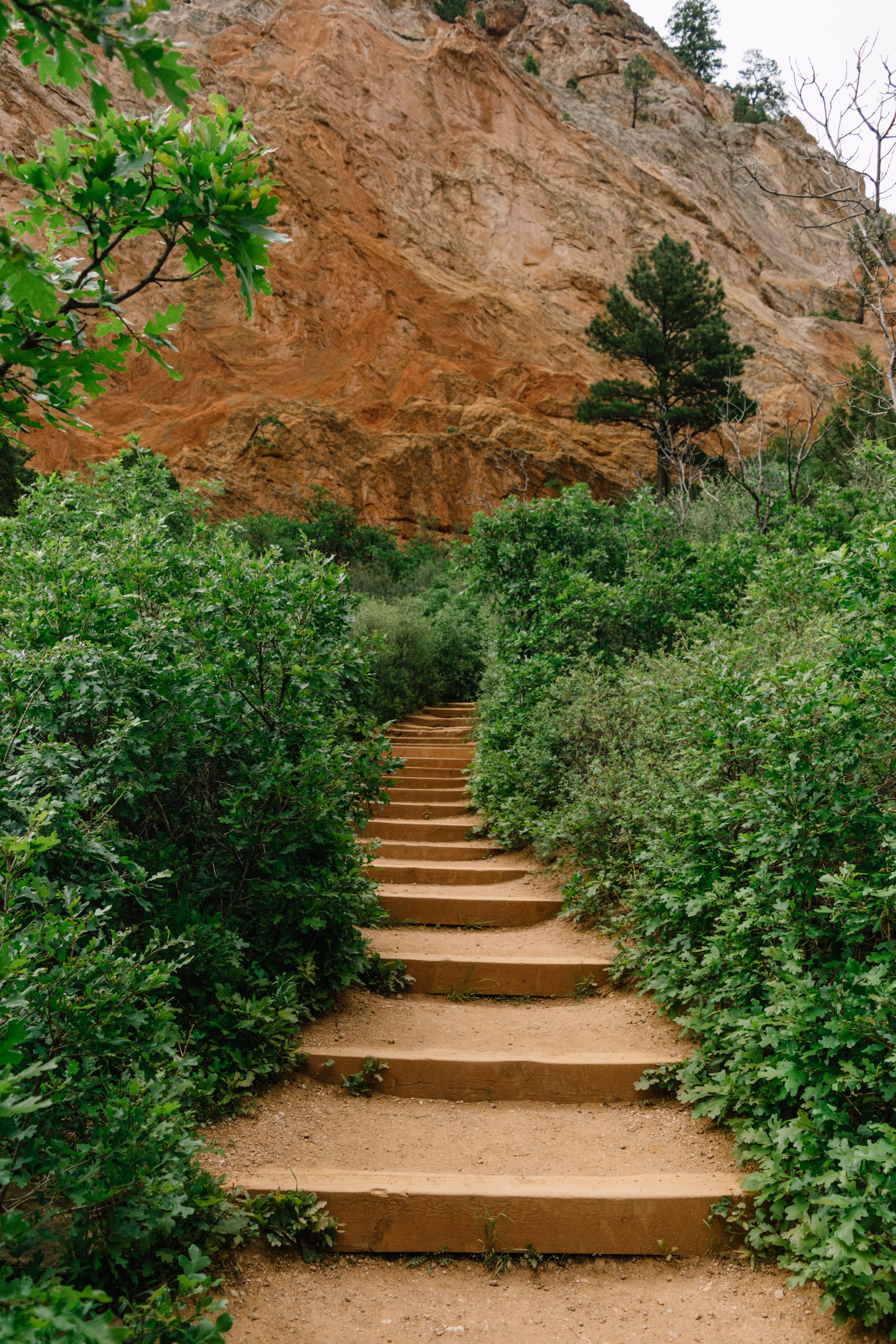 Upper Loop Trail