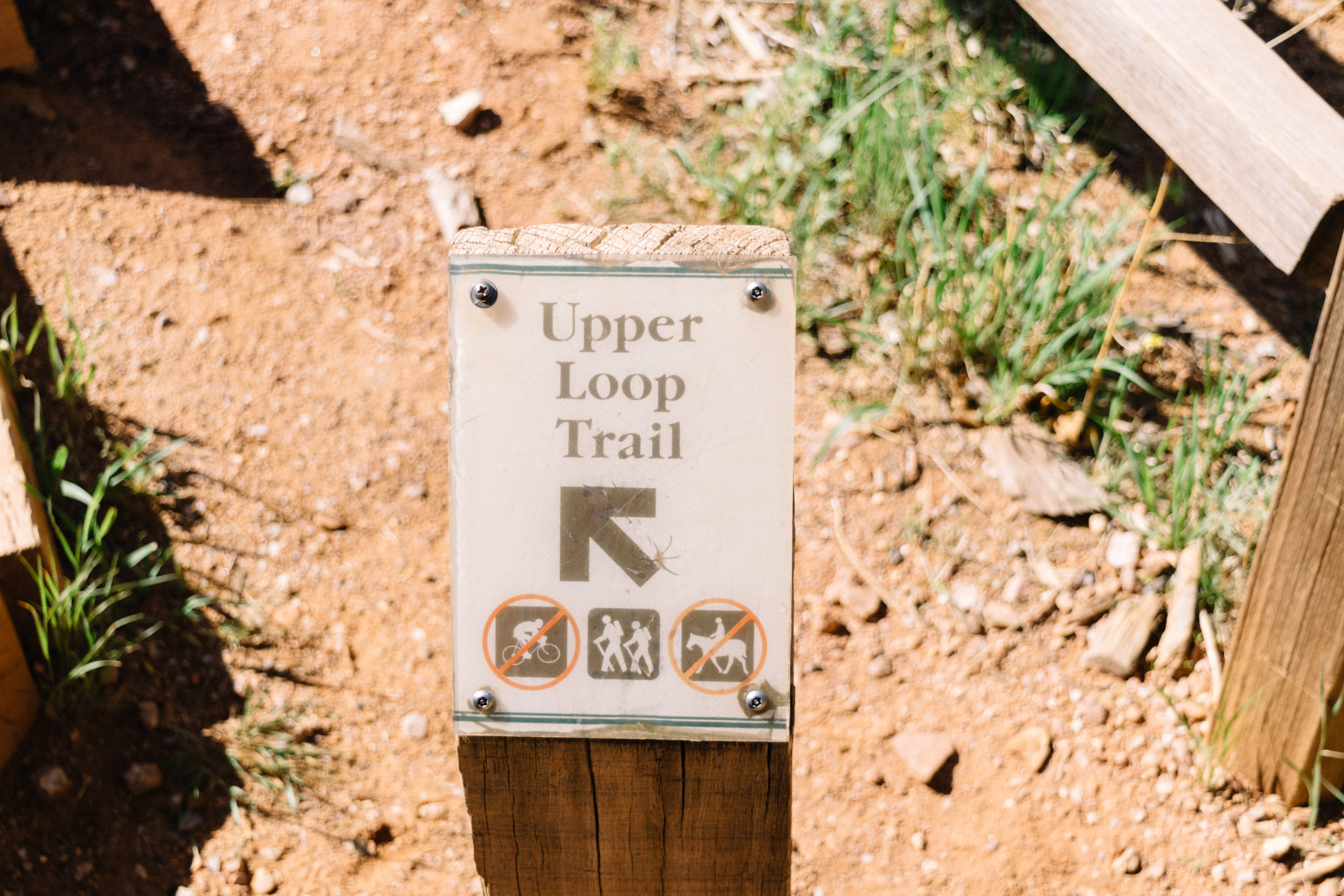 Upper Loop Trail