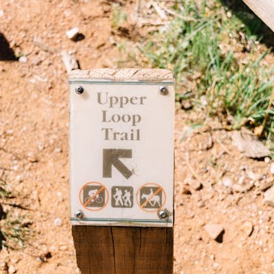 Hike the Upper Loop Trail