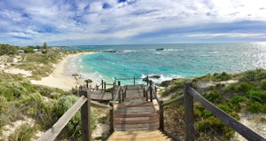 Explore Rottnest Island