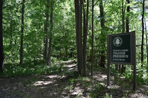 Hike the Thayer Preserve Loop at Lick Brook