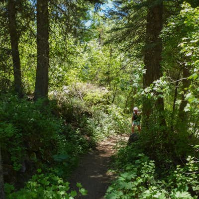 Hike the Grizzly Creek Trail