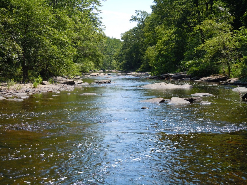 Swim in the Buck River, Buck River