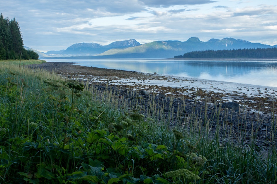 Camp at Bartlett Cove Campground in Glacier Bay NP, Bartlett Cove ...