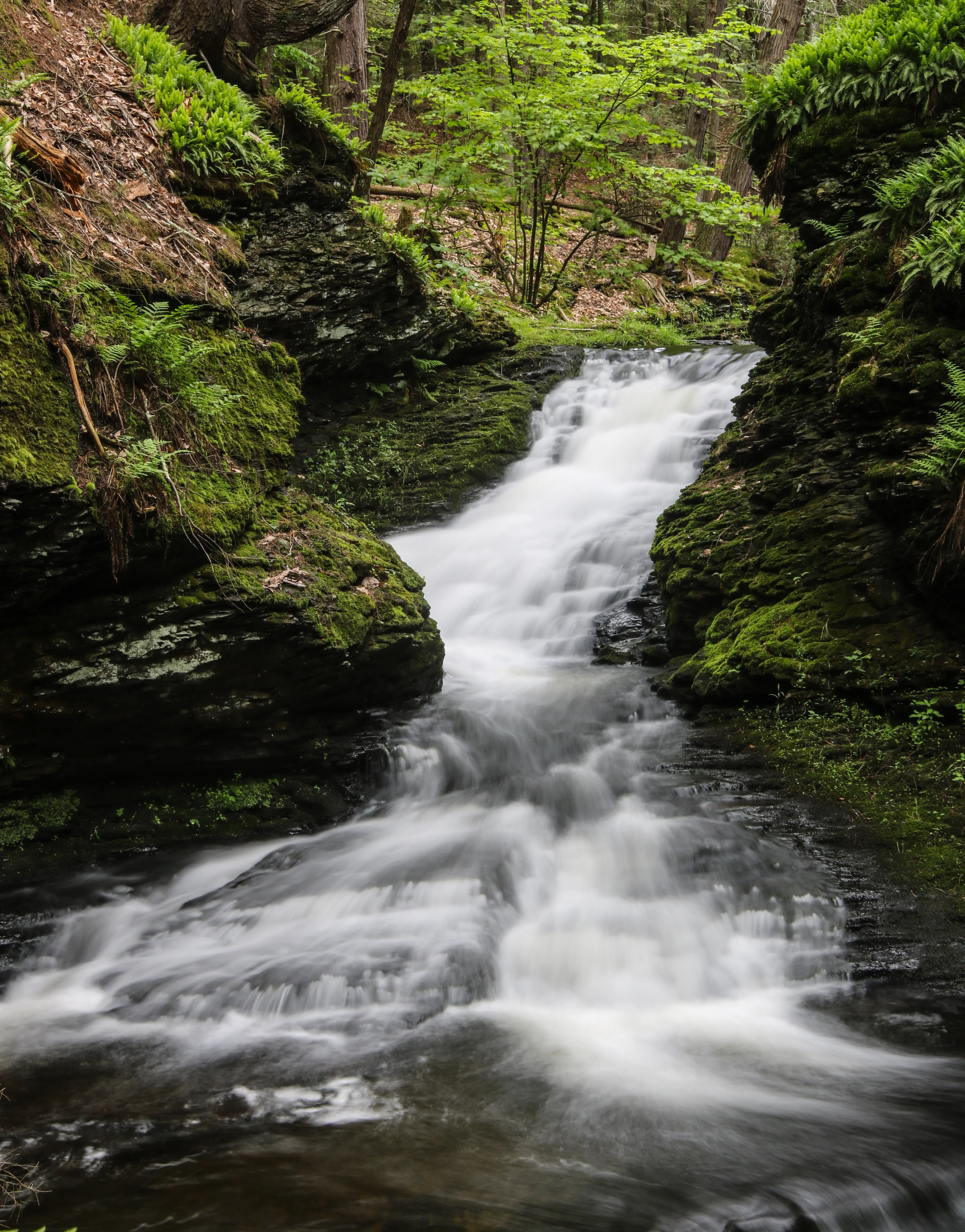 Hike to Indian Ladder Falls Along Hornbecks Creek