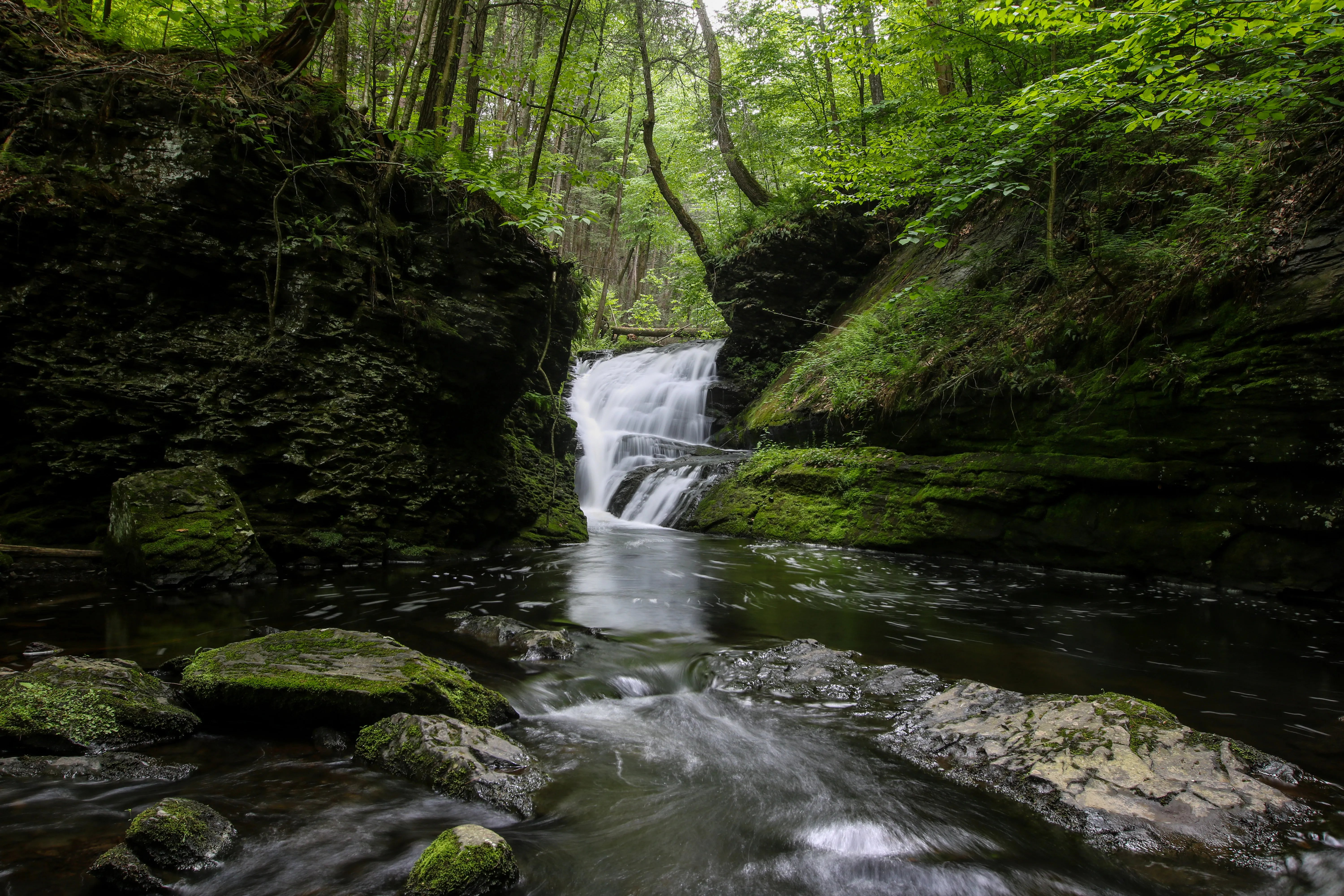 Hike to Indian Ladder Falls Along Hornbecks Creek
