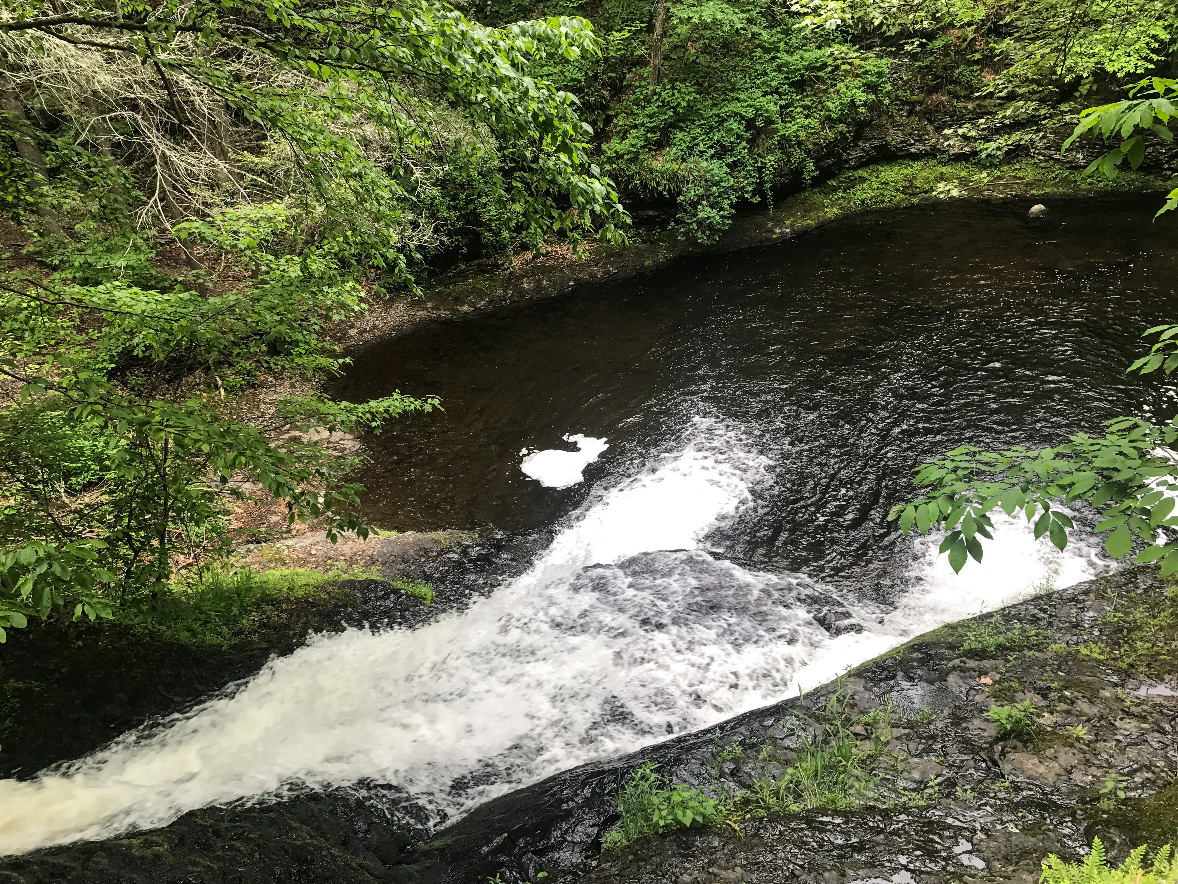 Hike to Indian Ladder Falls Along Hornbecks Creek