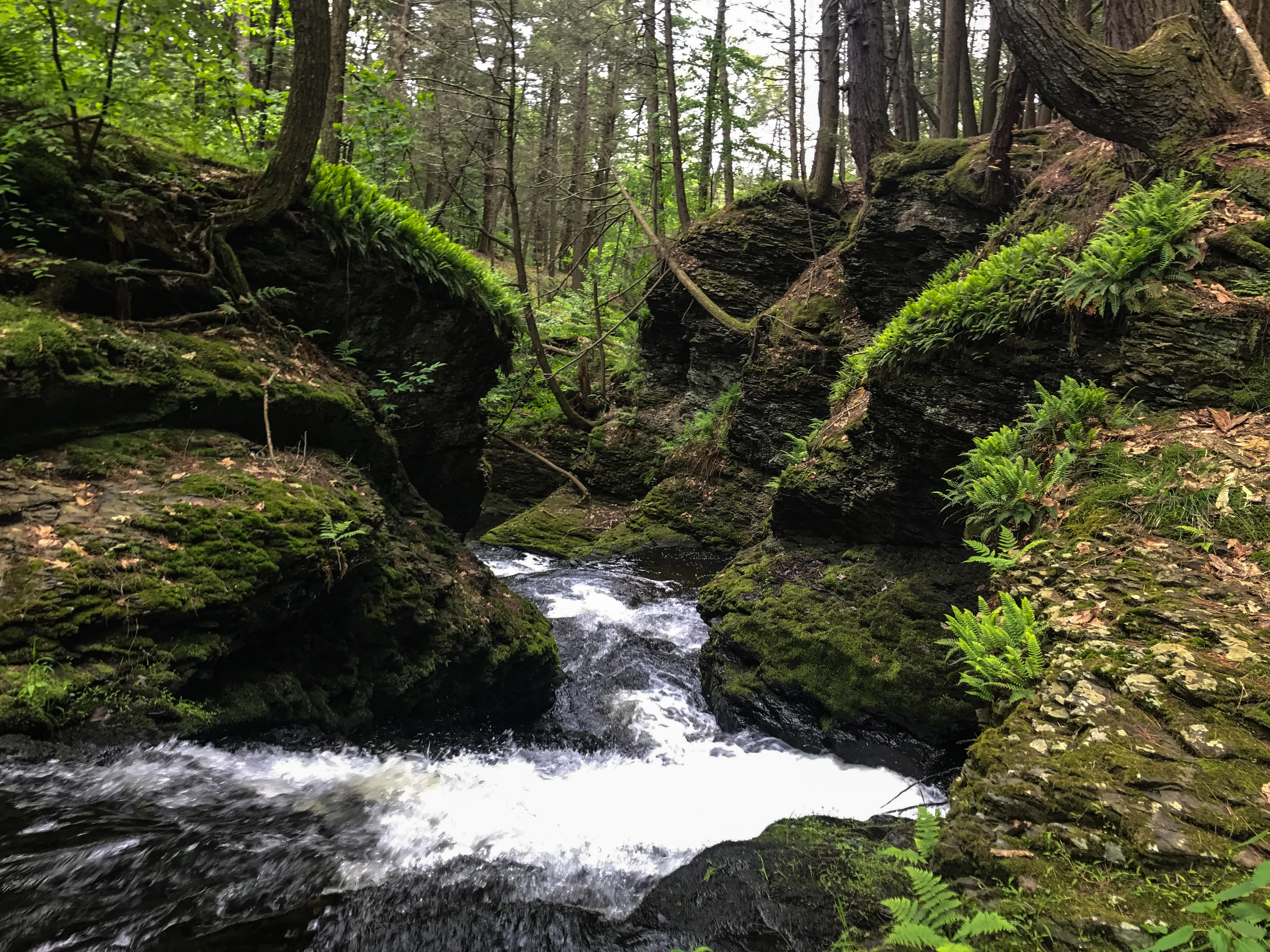 Hike to Indian Ladder Falls Along Hornbecks Creek