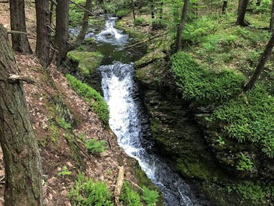 Hike to Indian Ladder Falls Along Hornbecks Creek