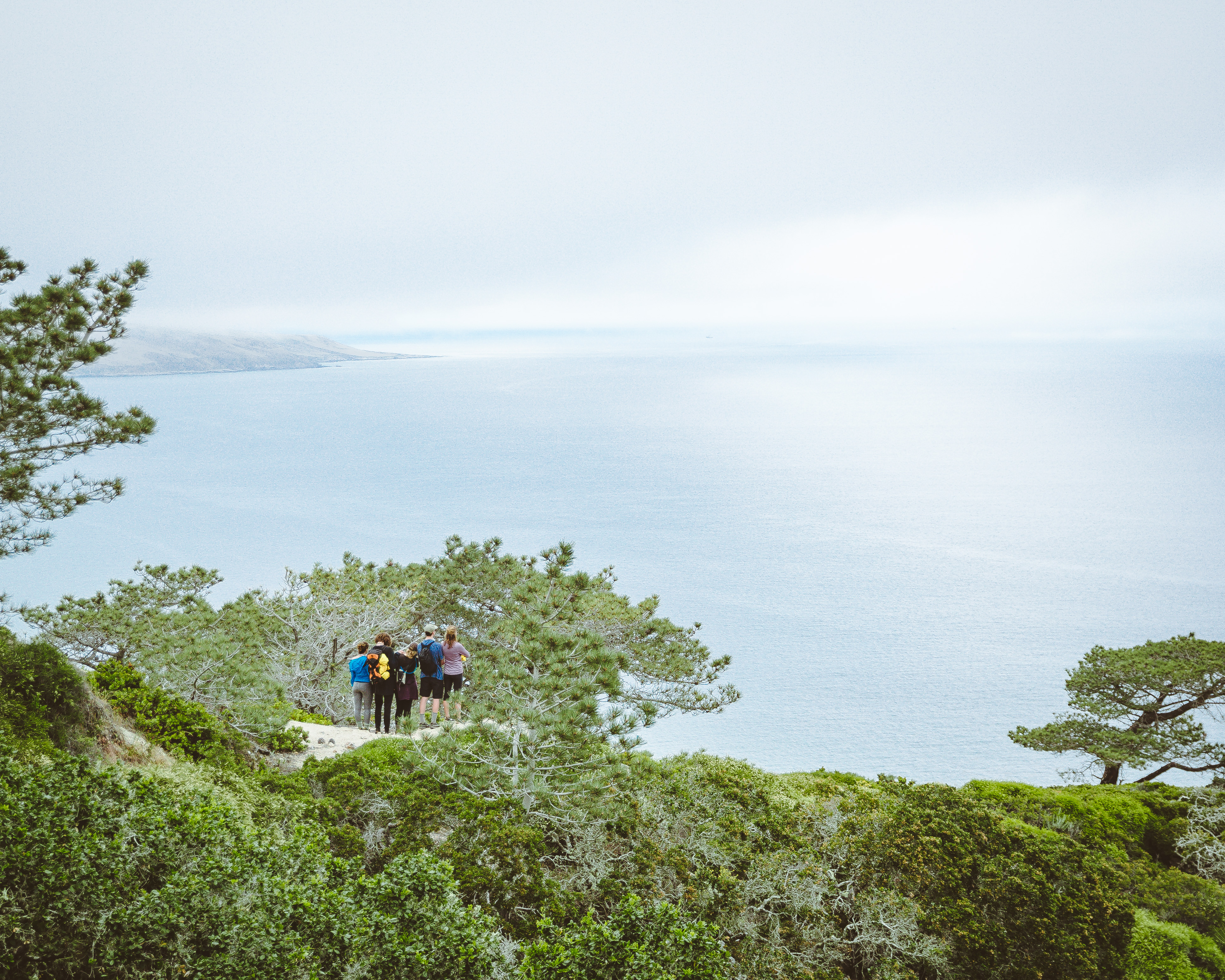 Torrey Pines Trail