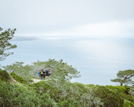 Hike the Torrey Pines Trail on Santa Rosa Island