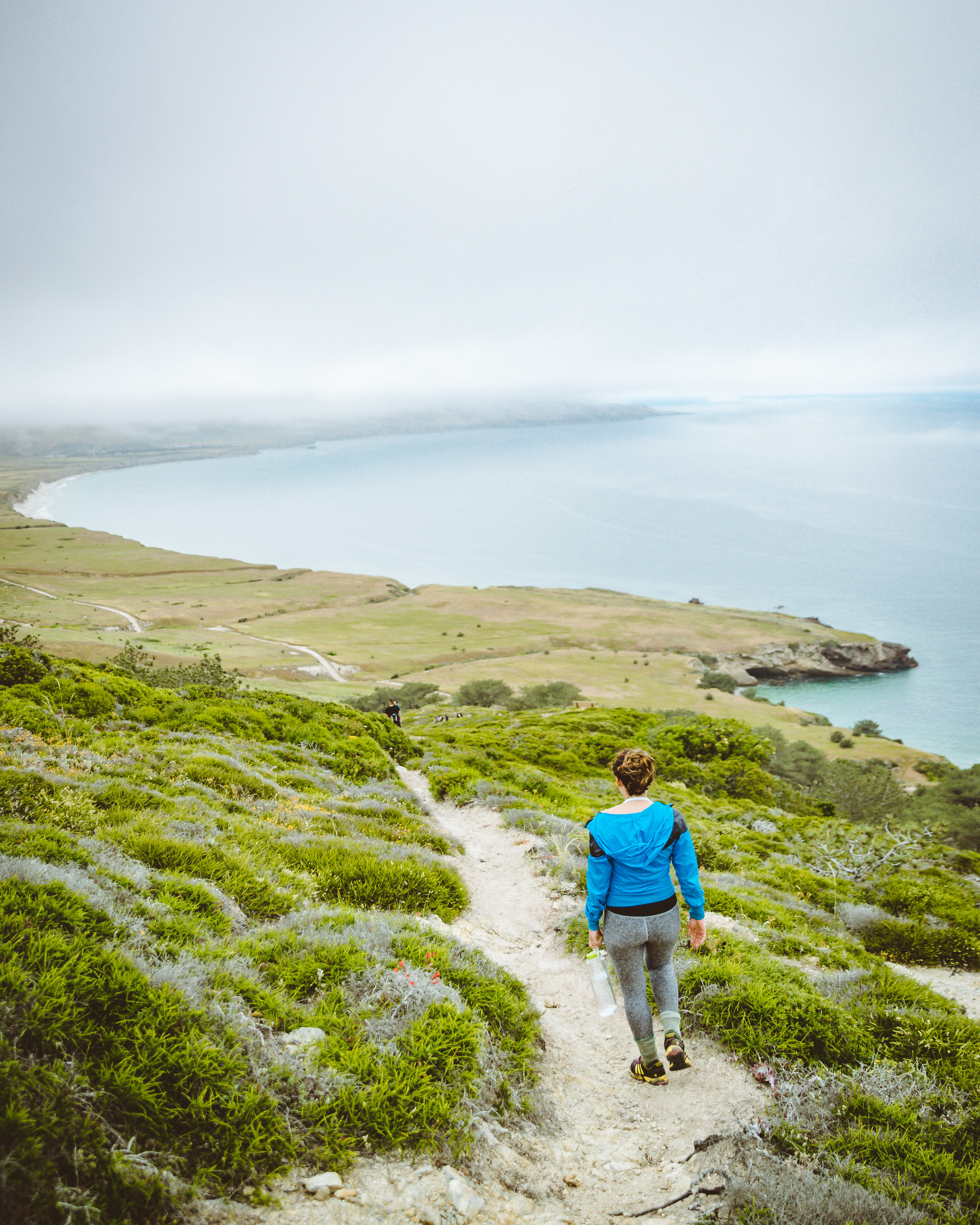 Torrey Pines Trail